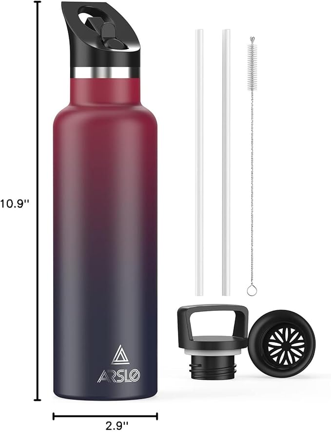 Stainless Steel Double Wall Water Bottles, Vacuum Insulated Bottle With Straw Lid, Insulated Water Bottle Keeps Water Cold for 24 Hours, Hot for 12 Hours, Hiking, Sports