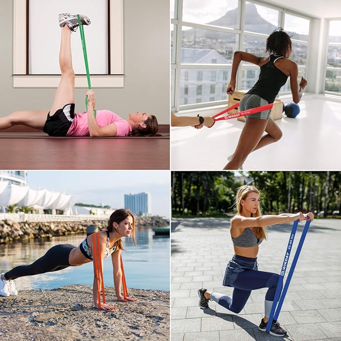 Resistance Bands, Pull Up Bands, Workout Bands for Exercise, Thick Heavy Resistance Band Set with Door Anchor, Elastic Bands for Body Stretching, Crossfit Training at Home/Gym Men & Women Women