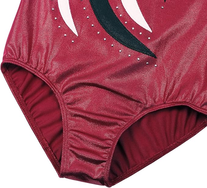 BAOHULU Leotards for Girls Gymnastics Long Sleeve Embroidery Shiny Black Diamond Dance Clothes
