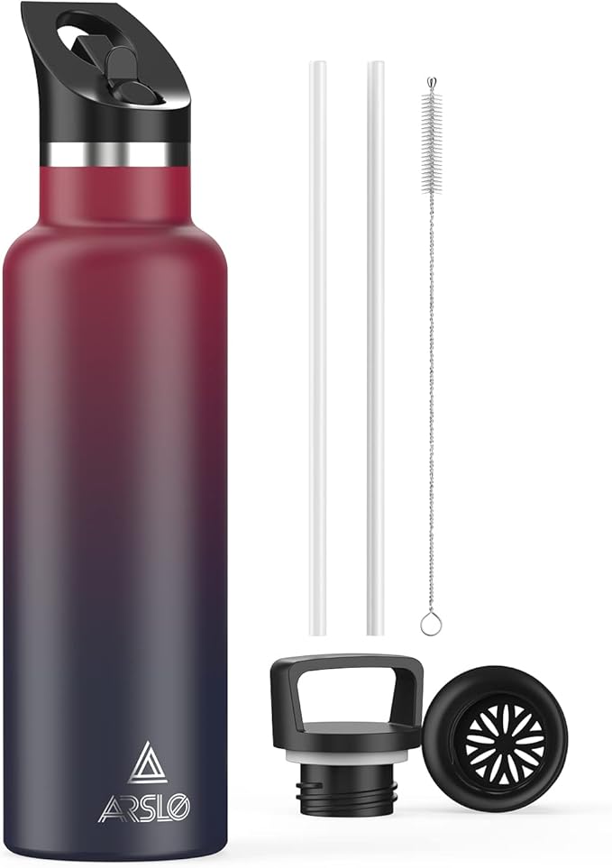 Stainless Steel Double Wall Water Bottles, Vacuum Insulated Bottle With Straw Lid, Insulated Water Bottle Keeps Water Cold for 24 Hours, Hot for 12 Hours, Hiking, Sports