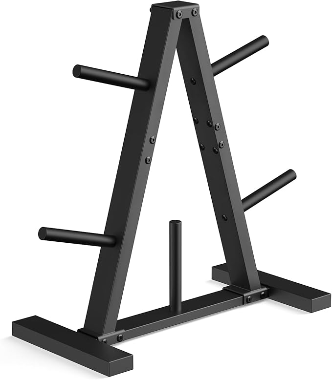 Weight Plate Rack, Weight Tree, Weight Plate Holder, 1-Inch Home Gym Storage Stand, Holds 300 lbs