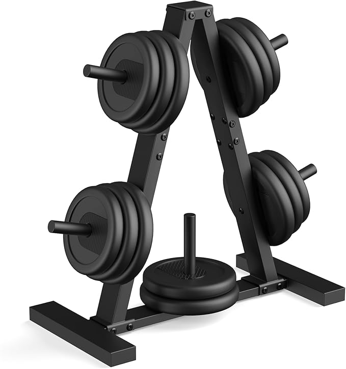 Weight Plate Rack, Weight Tree, Weight Plate Holder, 1-Inch Home Gym Storage Stand, Holds 300 lbs