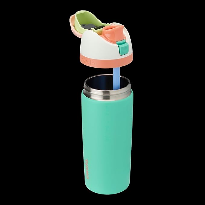 Owala Kids FreeSip Insulated Stainless Steel Water Bottle with Straw for Sports, Travel, and School, BPA-Free Sports Water Bottle, 16 oz, Mint Green Crazy Chameleon