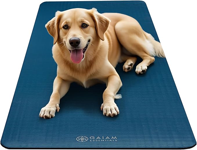 Gaiam Essentials 2/5" Thick (10mm) Yoga & Pilates, Fitness & Exercise Mat with Easy-Cinch Carrier Strap Cushion Support For Fitness and Gym Workouts