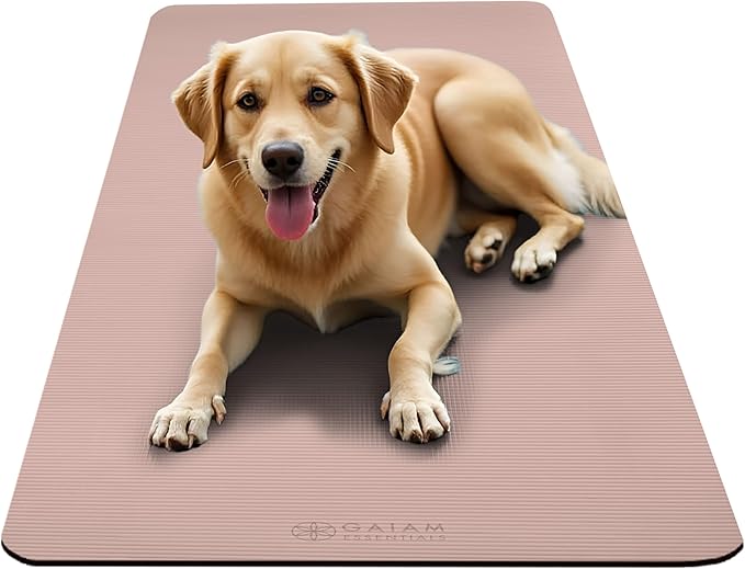 Gaiam Essentials 2/5" Thick (10mm) Yoga & Pilates, Fitness & Exercise Mat with Easy-Cinch Carrier Strap Cushion Support For Fitness and Gym Workouts