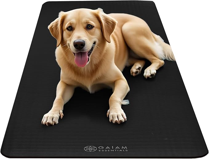 Gaiam Essentials 2/5" Thick (10mm) Yoga & Pilates, Fitness & Exercise Mat with Easy-Cinch Carrier Strap Cushion Support For Fitness and Gym Workouts