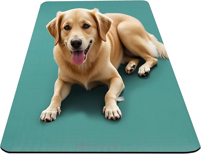 Gaiam Essentials 2/5" Thick (10mm) Yoga & Pilates, Fitness & Exercise Mat with Easy-Cinch Carrier Strap Cushion Support For Fitness and Gym Workouts