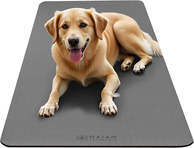 Gaiam Essentials 2/5" Thick (10mm) Yoga & Pilates, Fitness & Exercise Mat with Easy-Cinch Carrier Strap Cushion Support For Fitness and Gym Workouts
