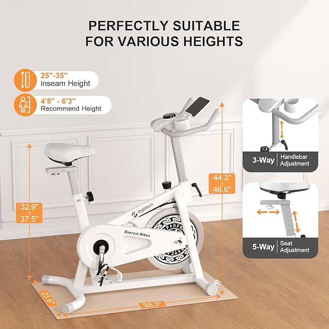 Exercise Bikes for Home,Indoor Cycling Bike with Adjustable Magnetic,Brake Pad Resistance Silent Belt Drive,330lbs Weight Capacity &Upgraded Version Seat for Home Cardio&Weight Loss