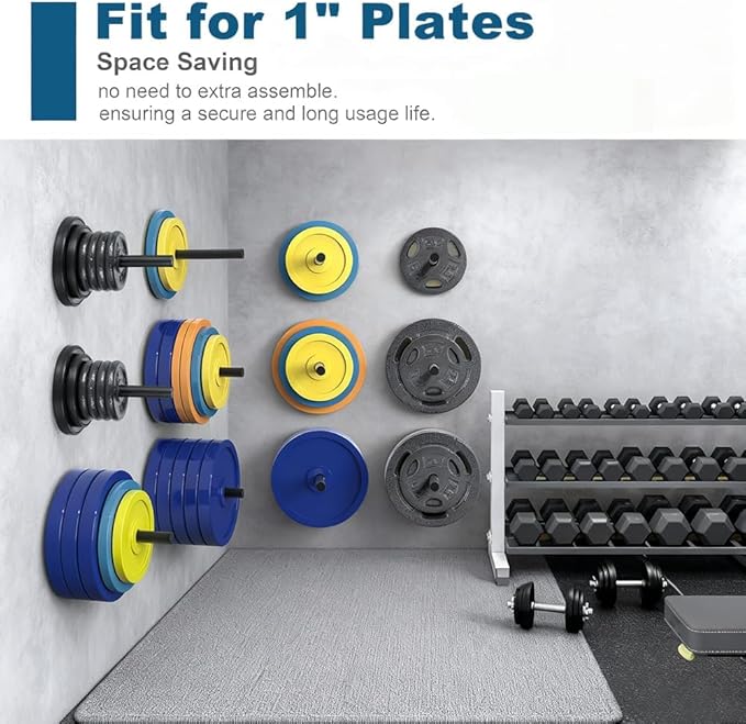 Wall Mounted Weight Plate Holder,Steel Bumper Plate Storage Rack with Screws and Thick Pad, Space Saving Holder for Home Gym,Max Weight Capacity 300 LBS