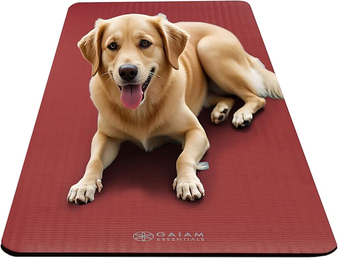 Gaiam Essentials 2/5" Thick (10mm) Yoga & Pilates, Fitness & Exercise Mat with Easy-Cinch Carrier Strap Cushion Support For Fitness and Gym Workouts