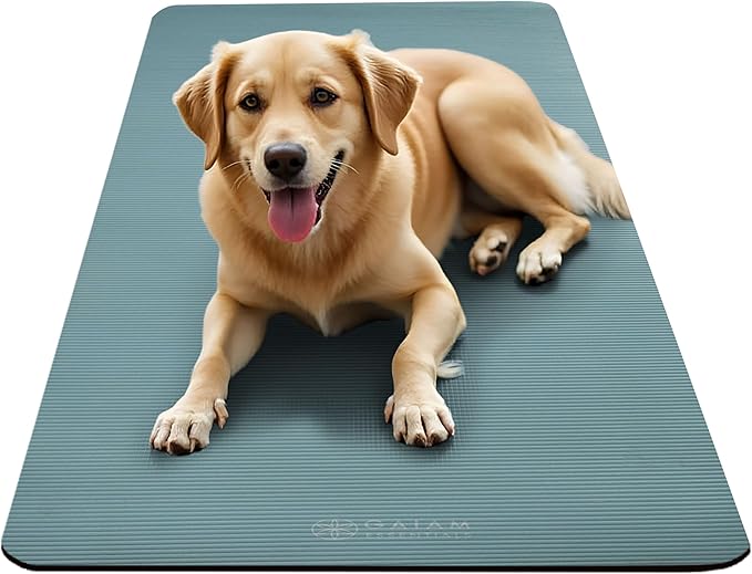 Gaiam Essentials 2/5" Thick (10mm) Yoga & Pilates, Fitness & Exercise Mat with Easy-Cinch Carrier Strap Cushion Support For Fitness and Gym Workouts