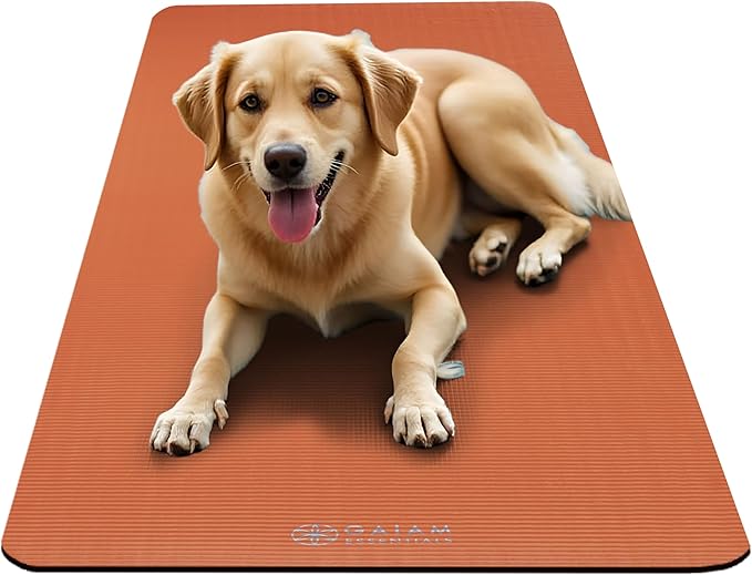 Gaiam Essentials 2/5" Thick (10mm) Yoga & Pilates, Fitness & Exercise Mat with Easy-Cinch Carrier Strap Cushion Support For Fitness and Gym Workouts
