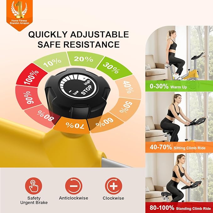 Exercise Bikes for Home,Indoor Cycling Bike with Adjustable Magnetic,Brake Pad Resistance Silent Belt Drive,330lbs Weight Capacity &Upgraded Version Seat for Home Cardio&Weight Loss