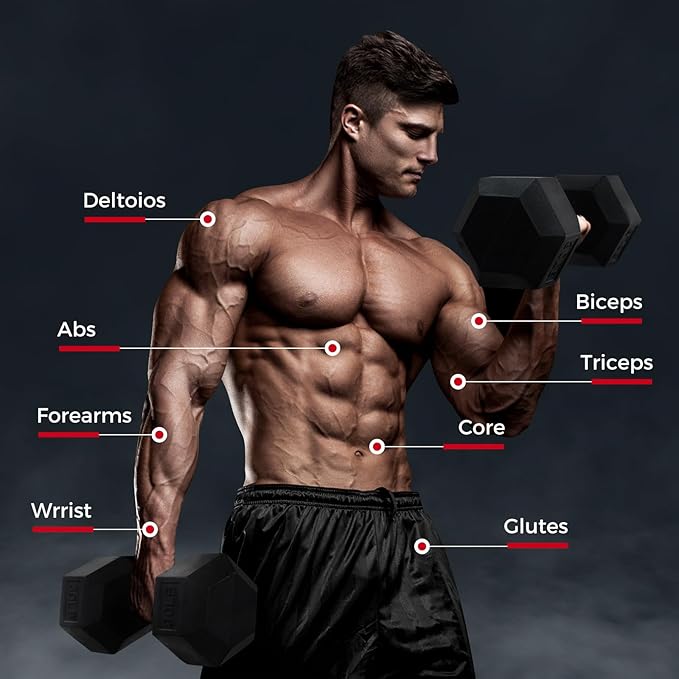 RITFIT 650/550/450/350/300/310/260/210/200/180/150/100 LB Rubber Hex Dumbbells Set with Optional Dumbbell Rack, Multi Weight Set to Choose, Ideal for Home Gym and Fitness