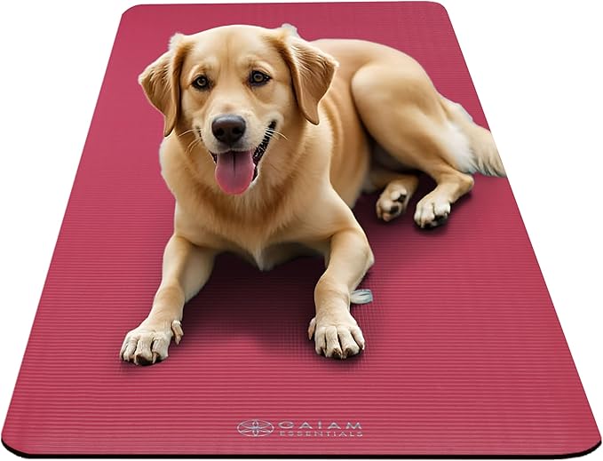 Gaiam Essentials 2/5" Thick (10mm) Yoga & Pilates, Fitness & Exercise Mat with Easy-Cinch Carrier Strap Cushion Support For Fitness and Gym Workouts