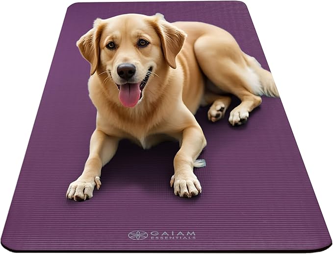 Gaiam Essentials 2/5" Thick (10mm) Yoga & Pilates, Fitness & Exercise Mat with Easy-Cinch Carrier Strap Cushion Support For Fitness and Gym Workouts