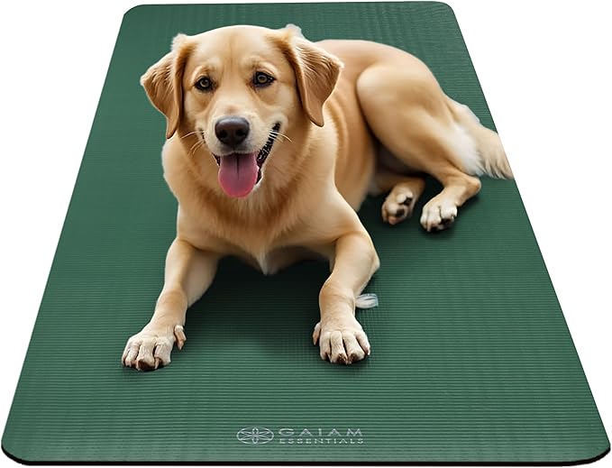 Gaiam Essentials 2/5" Thick (10mm) Yoga & Pilates, Fitness & Exercise Mat with Easy-Cinch Carrier Strap Cushion Support For Fitness and Gym Workouts