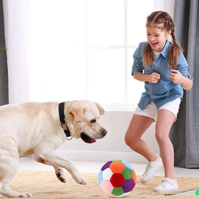 Libima 2 Pcs Soft Indoor Soccer Ball with Pump Felt Official Size 4 Soccer Ball Operation Christmas Sport Fun Gifts for Silent Dribble Training Home Outdoor Yard