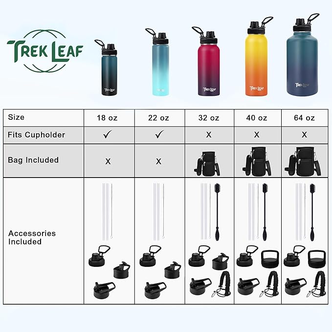 Travel Water Bottle with 3 Lids (Spout, Straw, Flip) Leak Proof, Quality, Vacuum Insulated, Stainless Steel (Cascade Shadow, 22 oz)