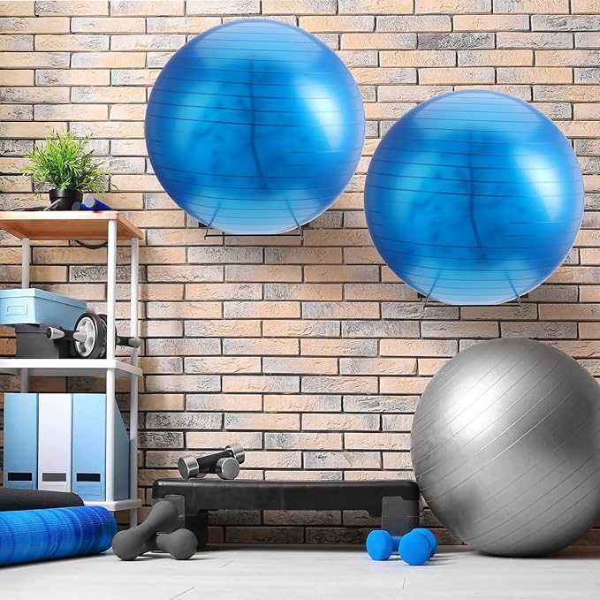 Threan Metal Medicine Ball Rack Wall Mounted 16.6'' Large Yoga Storage Ball Rack Thickened Black Sport Exercise Equipment Holder for Gyms Studios Home Space