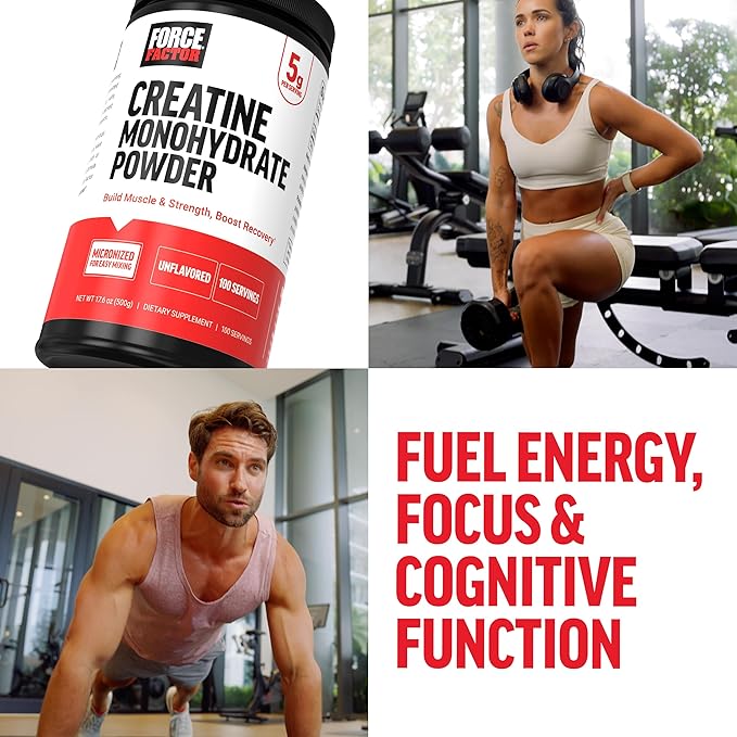 Force Factor Creatine Monohydrate Micronized Powder 500G, 5g Dose to Support Muscle Growth, Strength, Recovery, Cognitive Health & Memory, Unflavored, 100 Servings, 17.6 Oz
