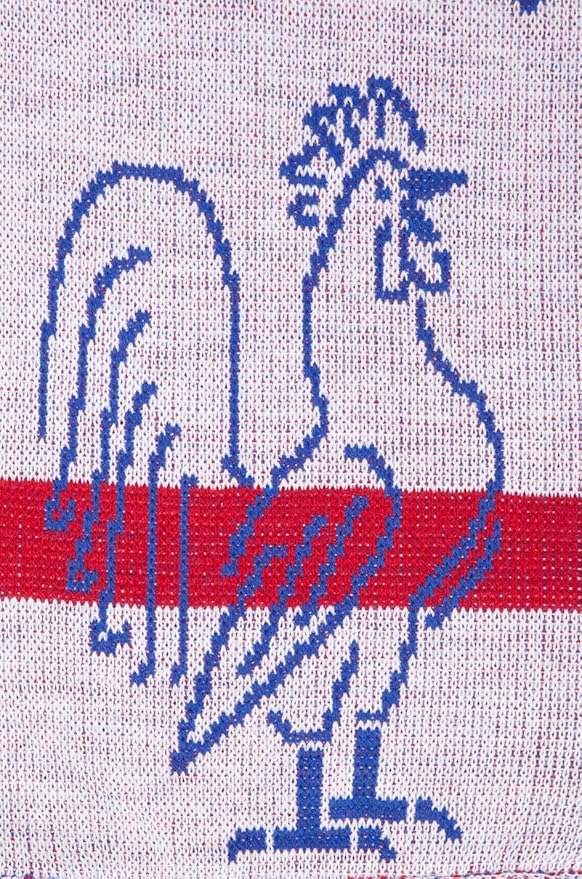 France Champions Du Monde Soccer Knit Scarf